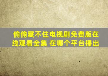 偷偷藏不住电视剧免费版在线观看全集 在哪个平台播出